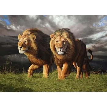 Puzzle Cobble Hill Puzzle 1000 dílků - Blíží se bouřka