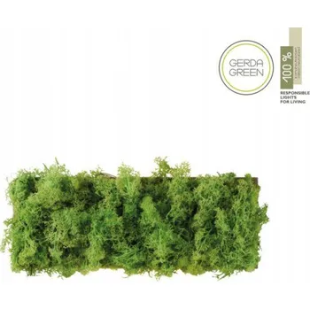 Nástěnné svítidlo Nástěnné dekorativní svítidlo GREEN CARL 15637-66 Just Light LED 0,8W 3000K