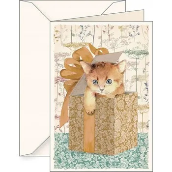 Přání B6 + obálka 6121 Kočka jako dárek