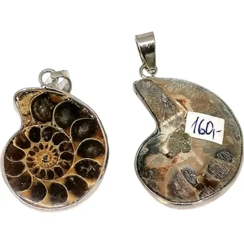 Přívěsek Amonit přívěsek v bižuterním kovu (B kvalita)