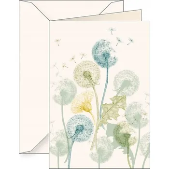 Přání B6 + obálka 6127 Pampeliška lékařská