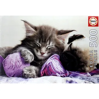 Puzzle Educa Puzzle Puzzle 500dílné Dream Companions G3