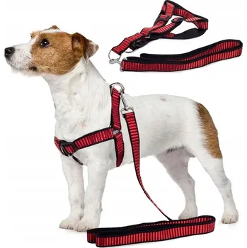 Postroj pro psa Vodítko s Postrojem Postroj Pro Psa Kočku 2,5 cm