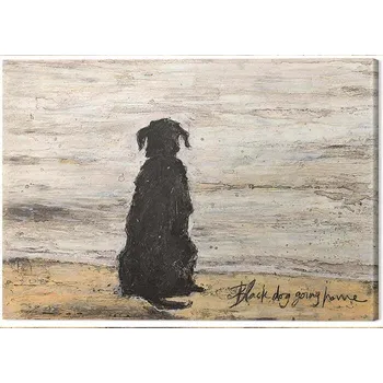 Obraz Obraz na plátně Sam Toft - Black Dog Going Home