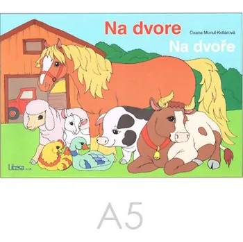 omalovánky Omalovánka A5 Litera - Na dvorě