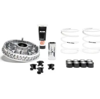 Motodíl Variátor MALOSSI Multivar 2000 - Piaggio 5119126