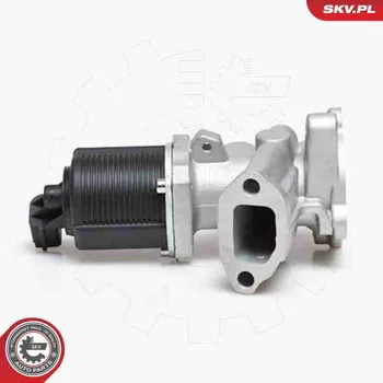 Ventil palivového systému AGR-Ventil ESEN SKV 14SKV031