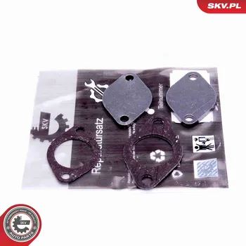 Palivový systém Sada na opravu, ventil AGR ESEN SKV 14SKV562