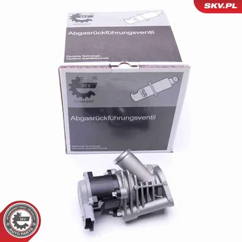 Ventil palivového systému AGR-Ventil ESEN SKV 14SKV173