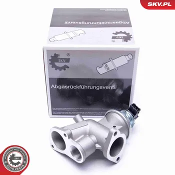 Ventil palivového systému AGR-Ventil ESEN SKV 14SKV181
