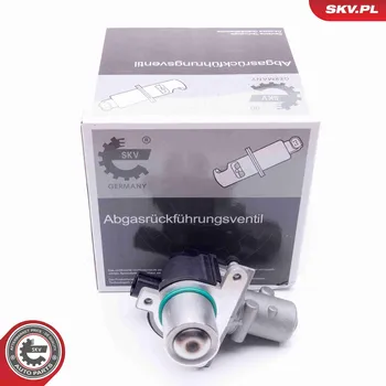 Ventil palivového systému AGR-Ventil ESEN SKV 14SKV163