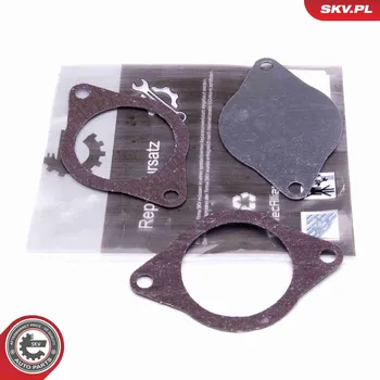 Palivový systém Sada na opravu, ventil AGR ESEN SKV 14SKV574