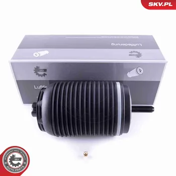 Vzduchová pružina, podvozek ESEN SKV 58SKV030