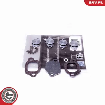 Vzduchový filtr Sada na opravu, modul sacího potrubí ESEN SKV 49SKV529