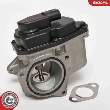 Ventil palivového systému AGR-Ventil ESEN SKV 14SKV085