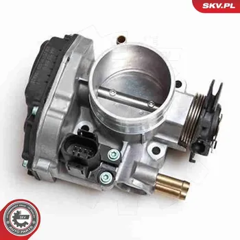 Systém vstřikování Hrdlo škrticí klapky ESEN SKV 12SKV010