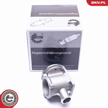 Ventil palivového systému AGR-Ventil ESEN SKV 14SKV177