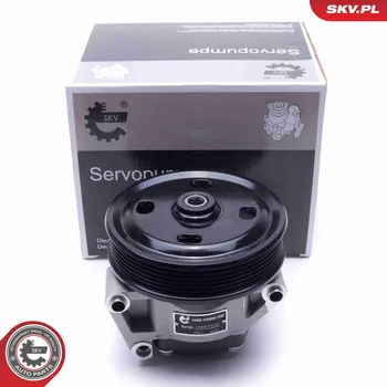 Posilovač řízení Hydraulické čerpadlo, řízení ESEN SKV 10SKV309