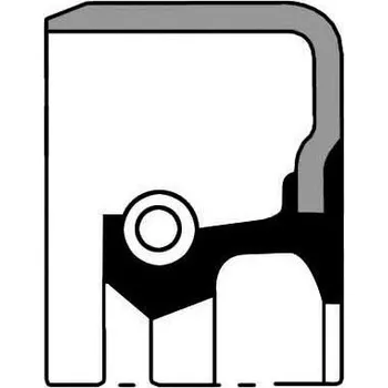 Těsnění motoru Těsnící kroužek hřídele, diferenciál PAYEN NJ540