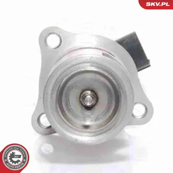 Ventil palivového systému AGR-Ventil ESEN SKV 14SKV021