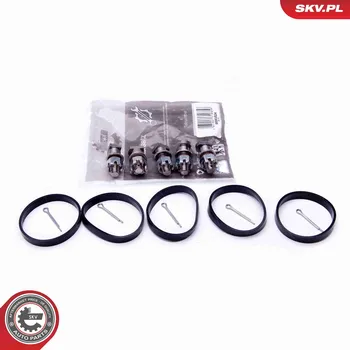 Nářadí pro automobil Sada na opravu, modul sacího potrubí ESEN SKV 49SKV524