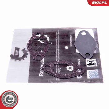 Nářadí pro automobil Sada na opravu, ventil AGR ESEN SKV 14SKV548