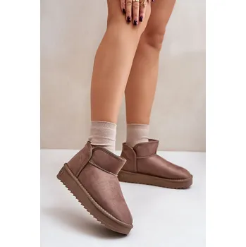 Dámská zimní obuv Sněhule model 202622 Step in style béžový 39