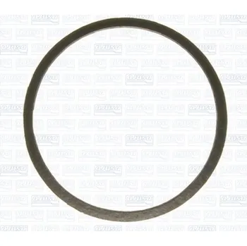 Brzdová hadice Těsnění, výpustná trubka Ajusa 01183700