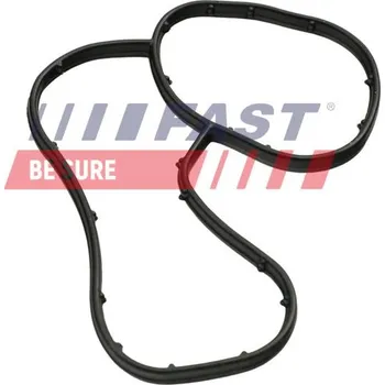 Chladič motoru Těsnicí kroužek, chladič oleje (mazání) FAST FT48941