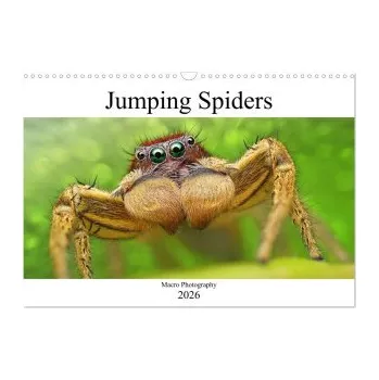 Kalendář Jumping Spiders (Wall Calendar 2026 DIN A3 landscape), CALVENDO 12 Month Wall Calendar: Macro Photography. DE – Calvendo,Alexander Mett Photography (EN)