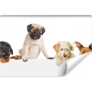 Fototapeta Fototapeta 3D Štěňátka Psi pro Děti 135x90