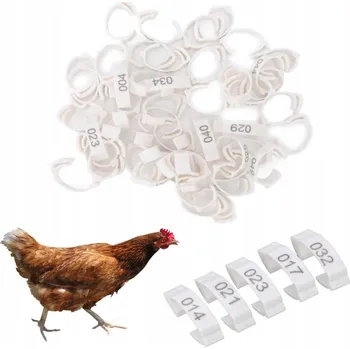 Kroužky na nohy pro kuřata a drůbež