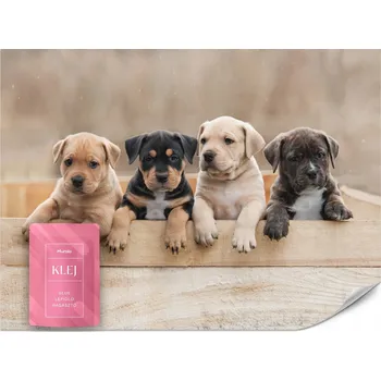 Fototapeta FOTOTAPETA DO DĚTSKÉHO POKOJE PEJSCI ŠTĚŇÁTKA ZVÍŘATA 3D EFEKT 400x280