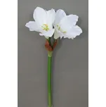 Amarylis 52 cm
