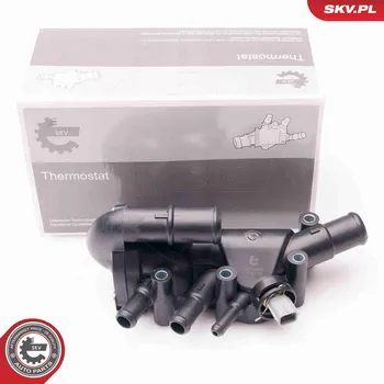 Těsnění motoru Termostat, chladivo SKV 20SKV066