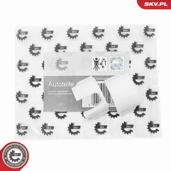 Sada na opravy, řadicí páka ESEN SKV 96SKV281