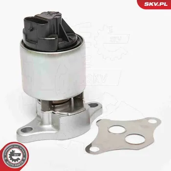Ventil palivového systému AGR-Ventil ESEN SKV 14SKV056