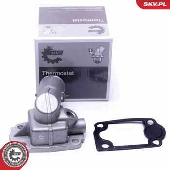 Těsnění motoru Termostat, chladivo SKV 20SKV168