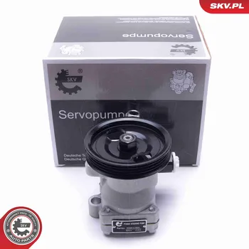 Posilovač řízení Hydraulické čerpadlo, řízení ESEN SKV 10SKV300