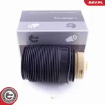 Vzduchová pružina, podvozek SKV 58SKV012