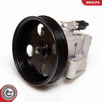 Posilovač řízení Hydraulické čerpadlo, řízení ESEN SKV 10SKV050