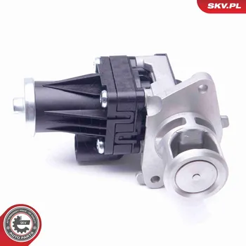 Ventil palivového systému AGR-Ventil ESEN SKV 14SKV159