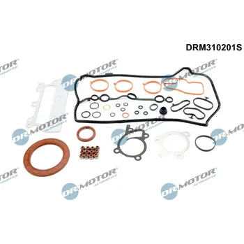 Auto-moto Kompletní sada těsnění, motor Dr.Motor Automotive DRM310201S