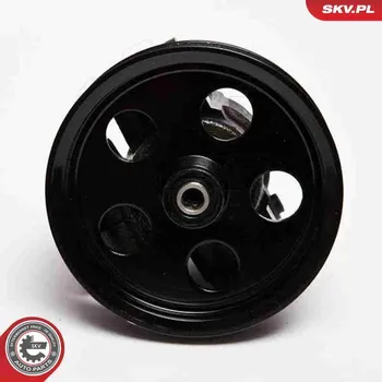 Posilovač řízení Hydraulické čerpadlo, řízení ESEN SKV 10SKV067