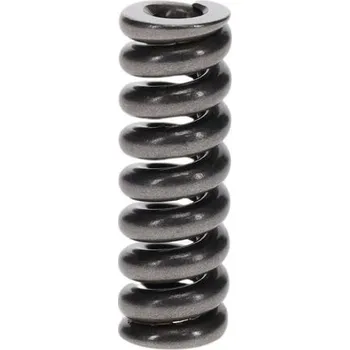 Autodílna Pružina BOSCH 2 434 619 073