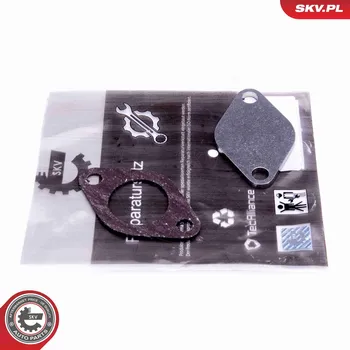 Sada na opravu, ventil AGR ESEN SKV 14SKV542