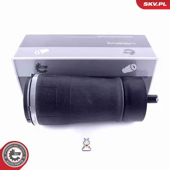 Vzduchová pružina, podvozek ESEN SKV 58SKV016