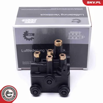 Nářadí pro automobil Ventil, pneumatický systém SKV 93SKV815
