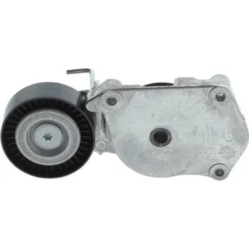 Rozvod motoru Napínák žebrovaného klínového řemenu BOSCH 1 987 600 389