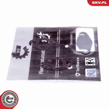 Palivový systém Sada na opravu, ventil AGR ESEN SKV 14SKV560